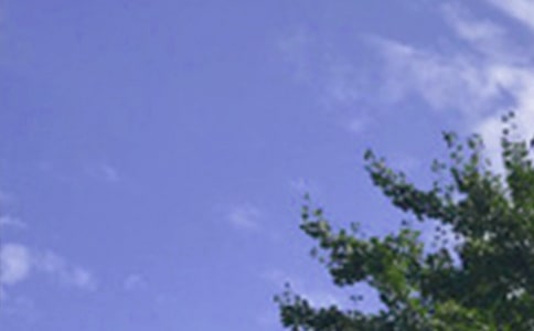 溫暖的午安問候語短信集錦66條