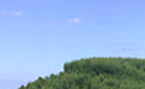 2024年午安心語短信匯總93句