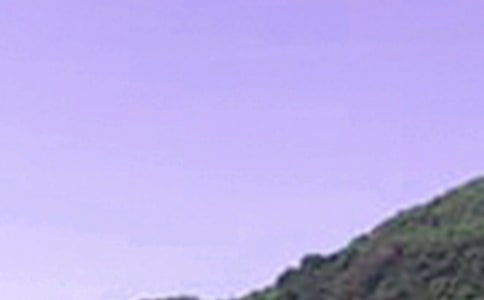 治愈系午安心語短信75條