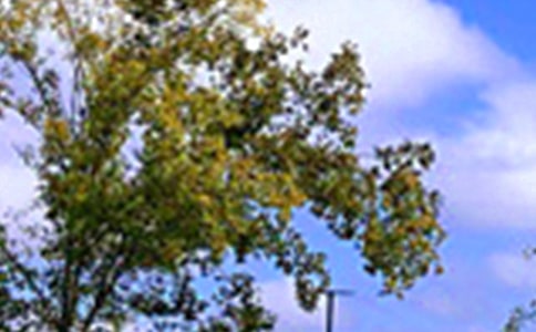 溫馨的午安問候語短信匯編84條