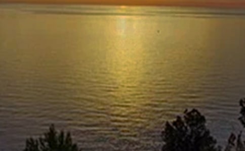 ��ܰ���簲�����Z(y��)����37�l