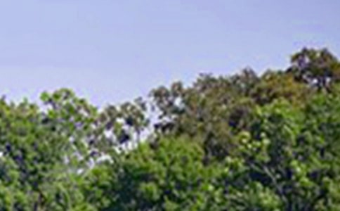 ���õ��簲�����Z����33��