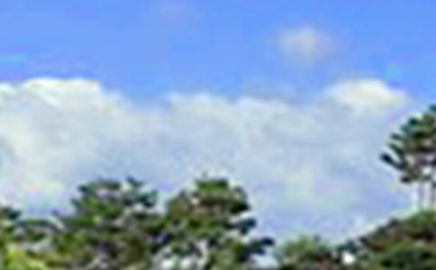 ���õ��簲�����Z���ż��\47�l