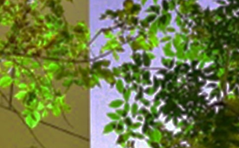 Ψ�����簲���Z����33�l