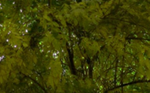 勵志午安短信匯總50句