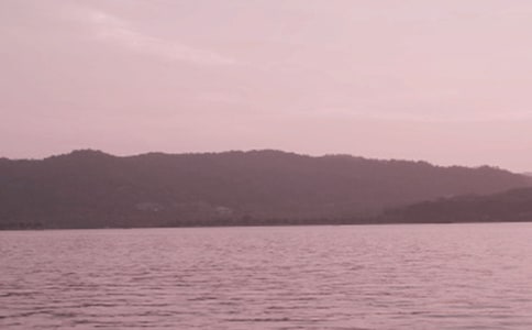 ��������������