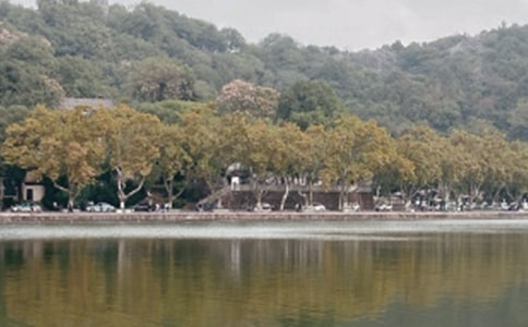 美麗的西湖精華15篇