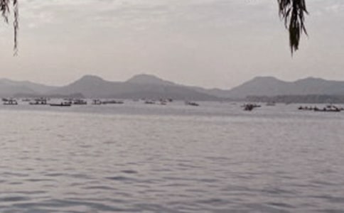 美麗的杭州西湖作文