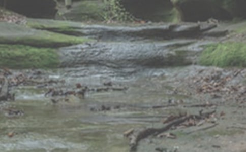 СϪ���ĸ�ͯԒ����