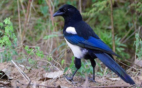 ϲ�o�Ļ��@������