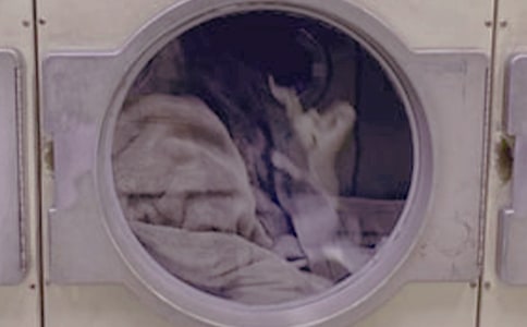 [����]ϴ�·�����15ƪ