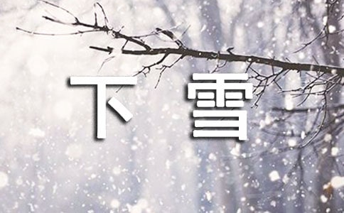 下雪了的說說