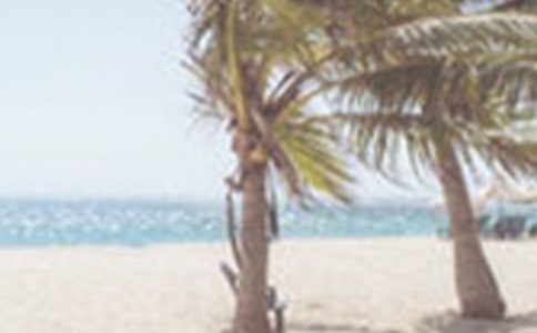 �ļ����Ӳ�������