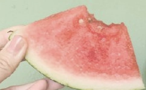 夏日原文翻譯及賞析