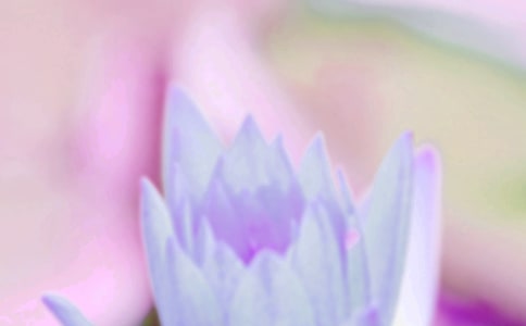 夏至短信經(jīng)典語(yǔ)句