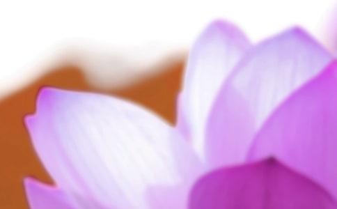 夏至祝福短信大全