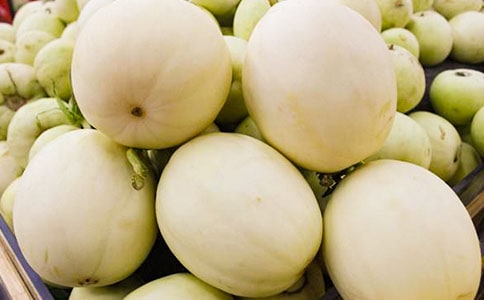 摘香瓜作文錦集(3篇)