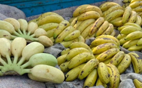 ���x�㽶�ķ���