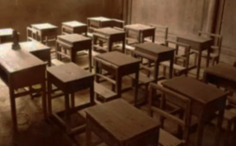 鄉村小學教師述職報告