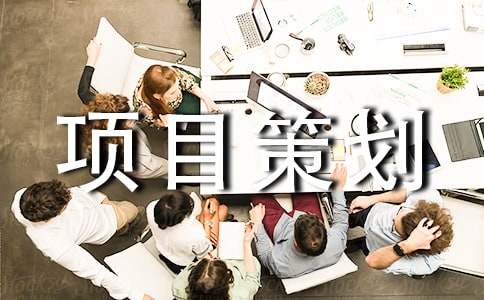 【合集】項目策劃