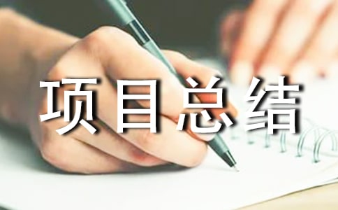 項目總結報告