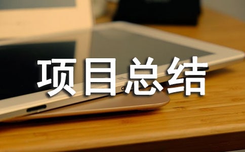 項目總結報告(通用20篇)