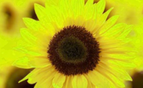 ��ϲ�g�����տ����ľ�Ʒ[15ƪ]