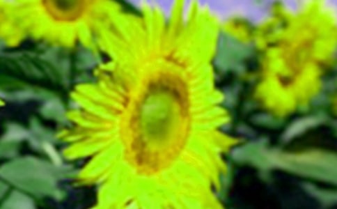 ��ϲ�g�Ļ����տ����ģ����x28ƪ��