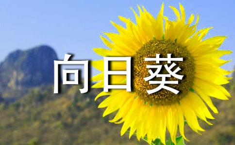 向日葵作文【優(yōu)選】