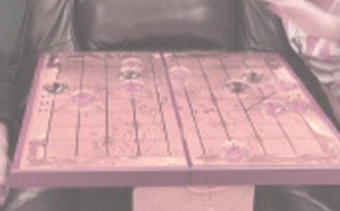 下象棋作文(集合)