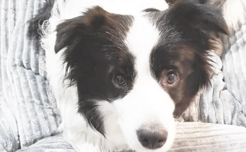 С�����D��Ԓ���ģ�ͨ��47ƪ��