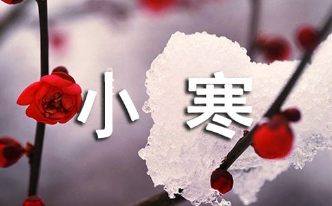 小寒優(yōu)美詩句