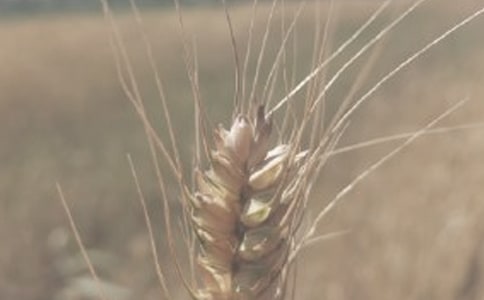 С���ĠI(y��ng)�B(y��ng)�r(ji��)ֵ��B