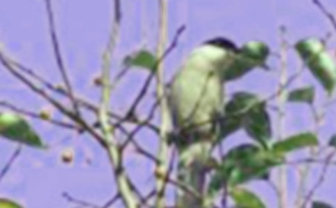 [��Ʒ]��С�B���D��Ԓ15ƪ