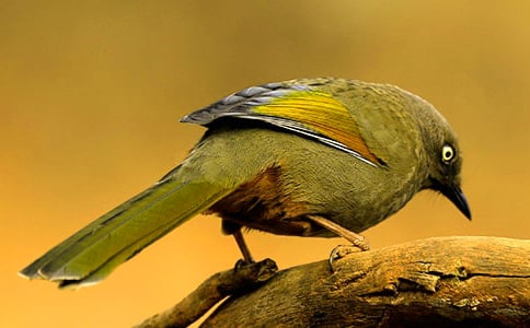 �P��С�B���~�Z�;���