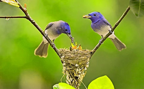 С�B���ؼҰɿ��D��Ԓ