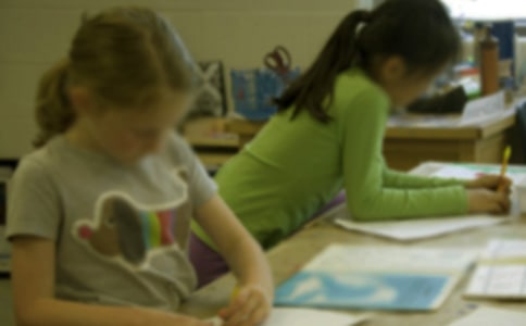 老鼠和貓小學(xué)生作文(精選29篇)