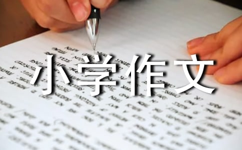 雪小學(xué)作文