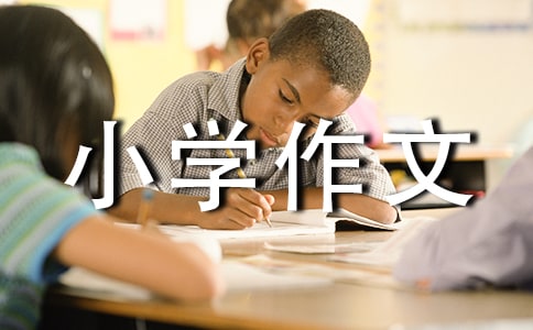 小學(xué)作文500字(精選29篇)