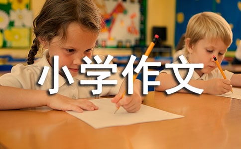 愛在細微處小學(xué)作文