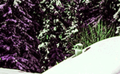 �P��Сѩ���L��