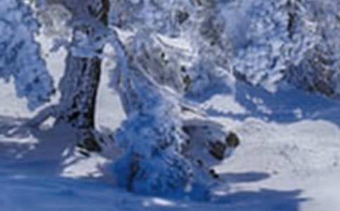 小雪說說 小雪節氣關心說說大全