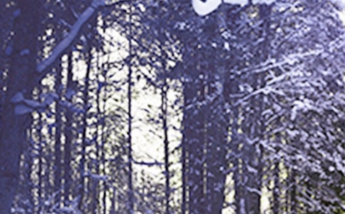 Сѩ�����׾��A[7ƪ]