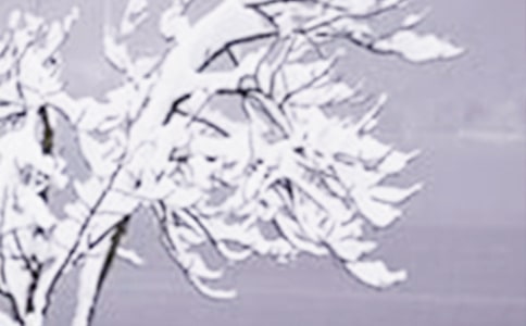 形容小雪節氣的詩句