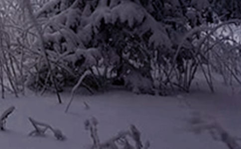 小雪節氣短句【熱】