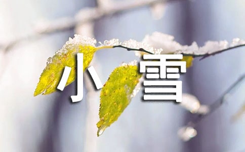 作文小雪花