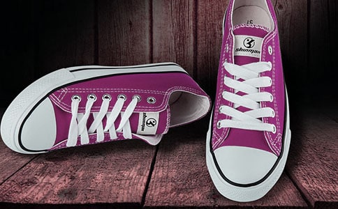 多功能鞋子作文【精華】