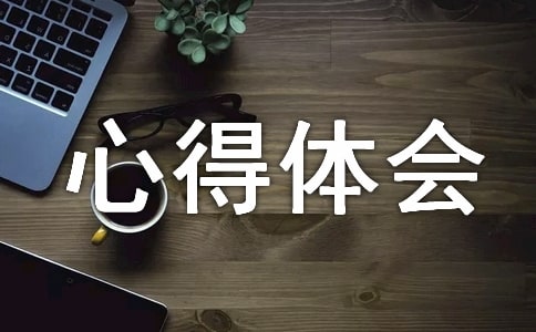 企業團隊拓展訓練心得體會
