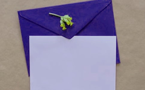 �Ҍ���Đ۶��b�M�ŷ���(2)