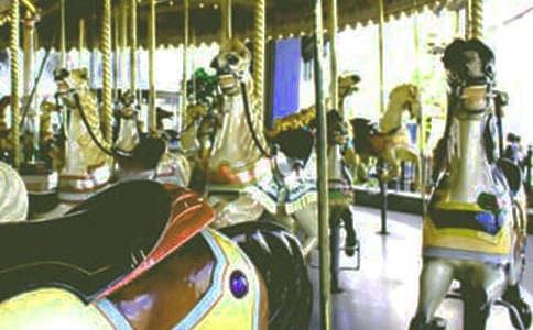 ���h�ĉ����D(zhu��n)ľ�R����